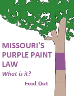 When the author first saw the purply swatch on tree trunks he thought his eyes were deceiving me. Who would take the time and energy to reach three to five feet up a tree just to paint a swath of purple on it? Not only that, but repeat the process on nearby trees, as well. Turns out, purple paint on trees is not just a tradition in Missouri. Its also the law!